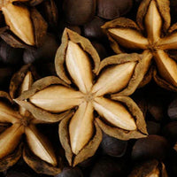 Sacha Inchi Seed Oil
