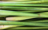 Lemongrass Essential Oil